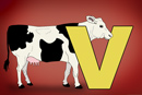 Screenshot - Toddler iphone puzzle - Letter V